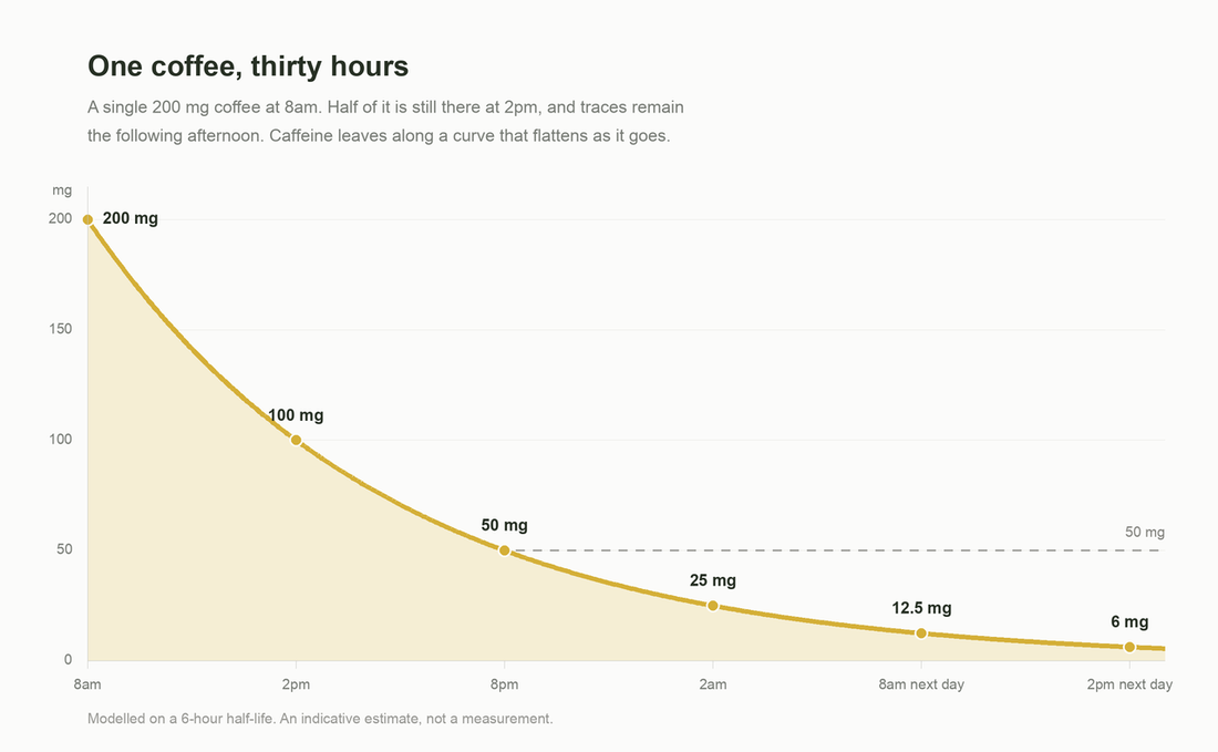 Decay curve of a single 200 mg coffee drunk at 8am, halving every six hours and still faintly present the next afternoon
