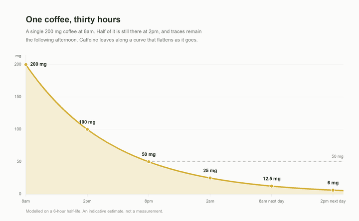 Decay curve of a single 200 mg coffee drunk at 8am, halving every six hours and still faintly present the next afternoon