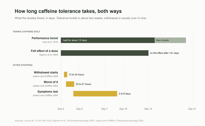 Timeline chart: caffeine tolerance builds over about two weeks of daily use, and withdrawal symptoms last 2 to 9 days after stopping