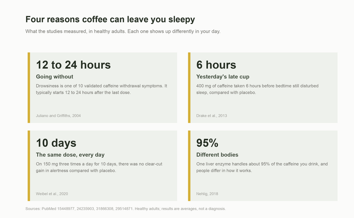 Four cards: going without (drowsiness starts 12 to 24 hours after the last dose), yesterday's late cup, the same dose every day, and different bodies (one liver enzyme handles about 95% of caffeine).