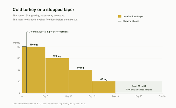 Step chart: cold turkey drops 160 mg to zero overnight, while the Uncaffed taper steps 160, 120, 80 and 40 mg a day over 20 days, then 10 days of Flow with no added caffeine