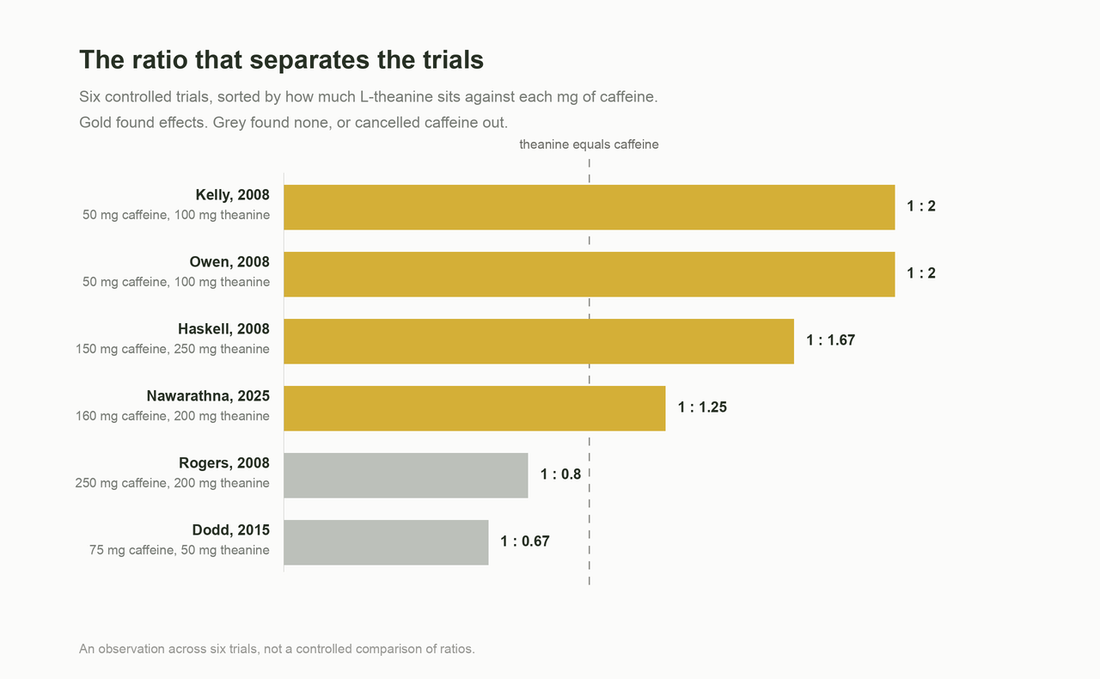 Six L-theanine and caffeine trials sorted by ratio, showing the four that found effects all had theanine at or above caffeine