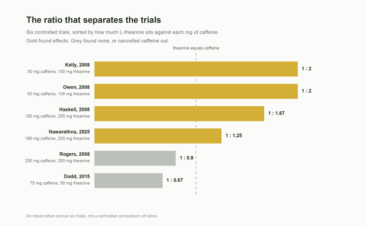 Six L-theanine and caffeine trials sorted by ratio, showing the four that found effects all had theanine at or above caffeine