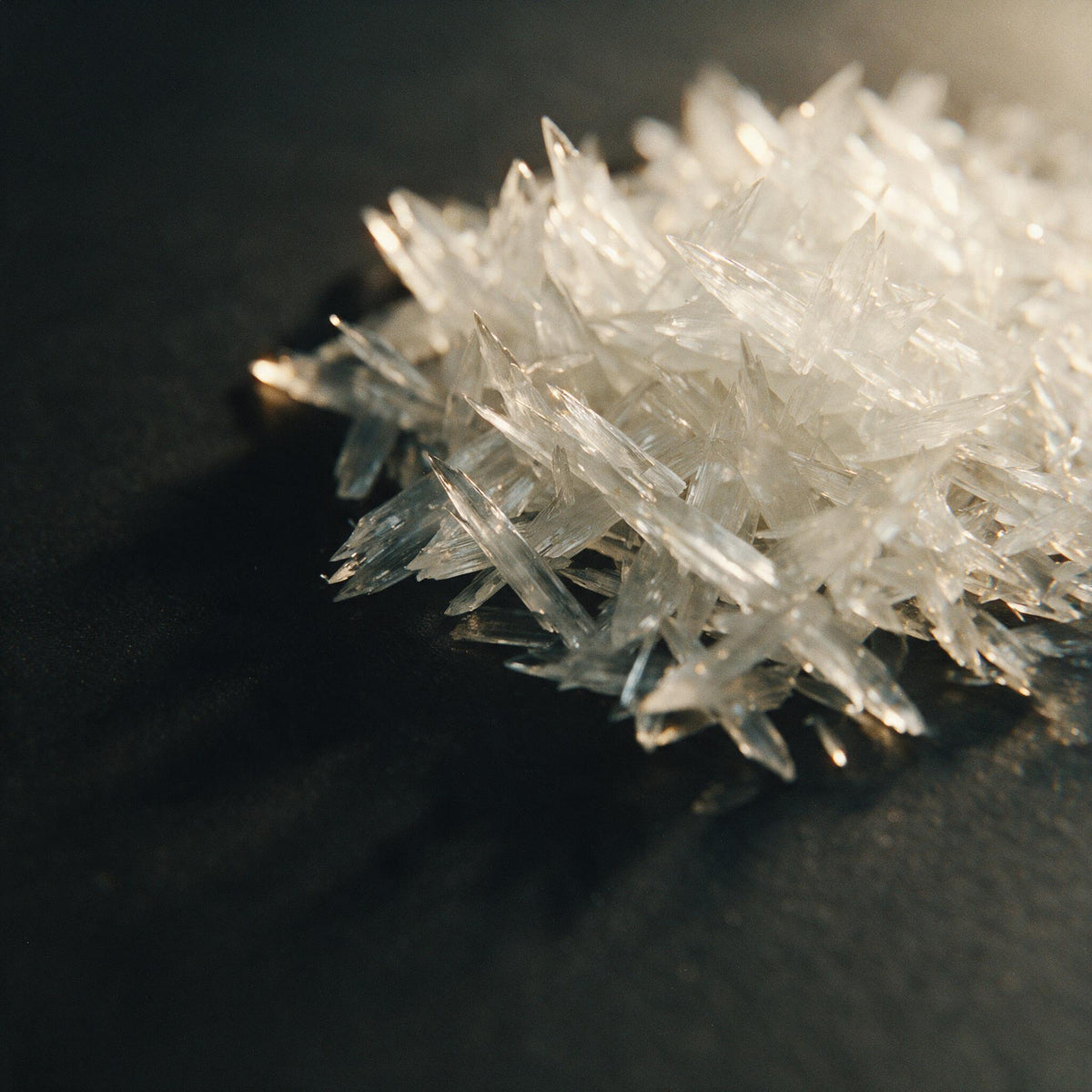 Pure caffeine crystals, macro